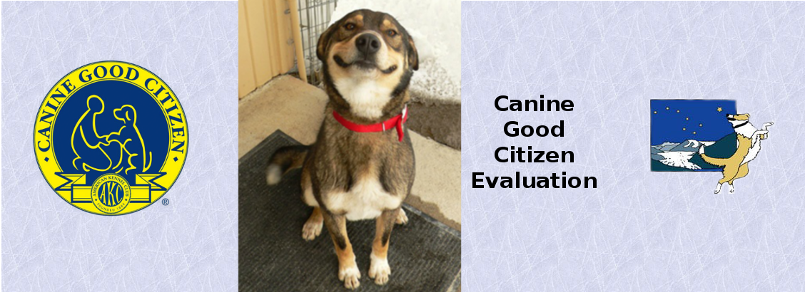 CGC-Evaluation