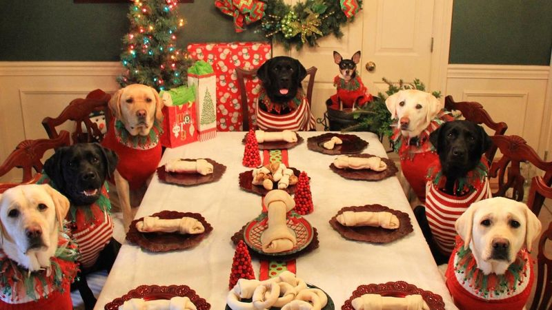 DogChristmasParty